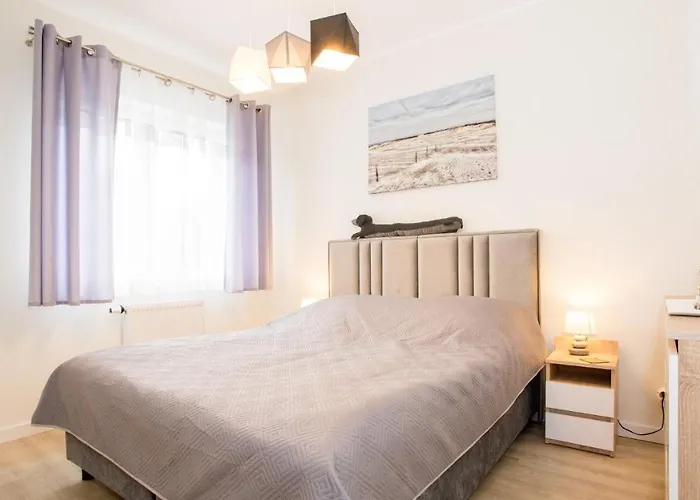 Bursztynowa Polana, Sun&snow *